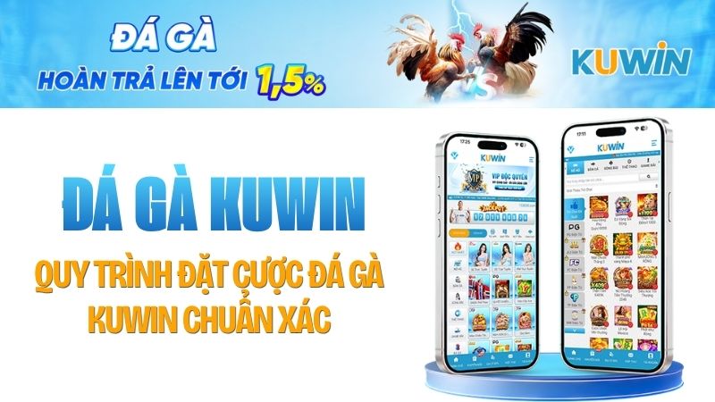 Quy trình đặt cược đá gà KUWIN chuẩn xác